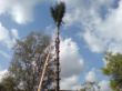 DSC00016.JPG